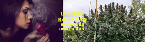ешки Алексин