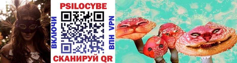 Псилоцибиновые грибы Cubensis  Бахчисарай 