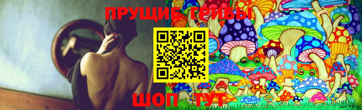 Галлюциногенные грибы Psilocybe  Вход с VPN  Бахчисарай  Галлюциногенные грибы MAGIC MUSHROOMS 