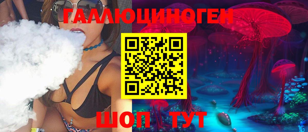 Псилоцибиновые грибы Psilocybe Бахчисарай